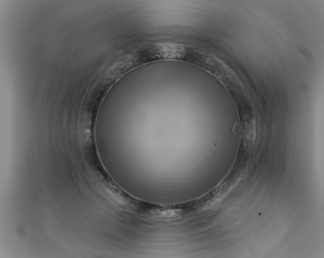 X0000111360553200907171206