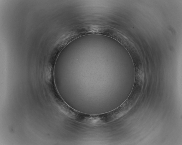 X0000111360554200907171206