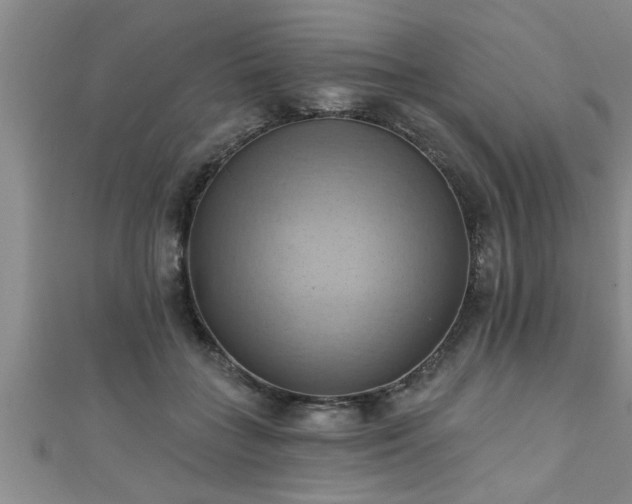 X0000111360555200907171206