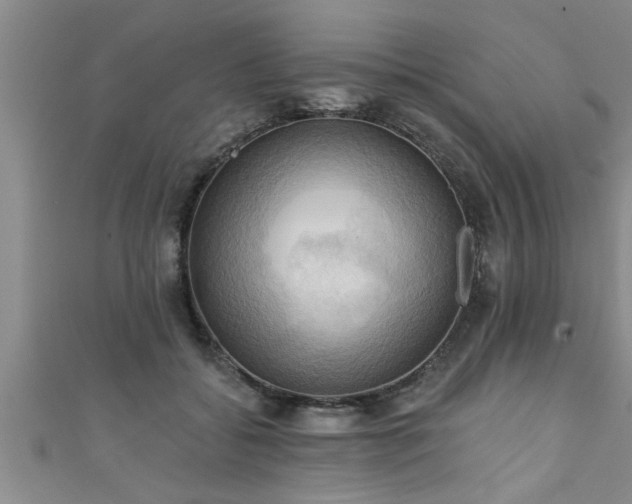 X0000111360556200907171206