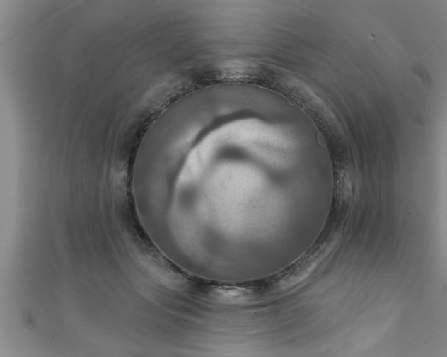 X0000111360557200907171206