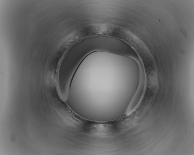 X0000111360558200907171206