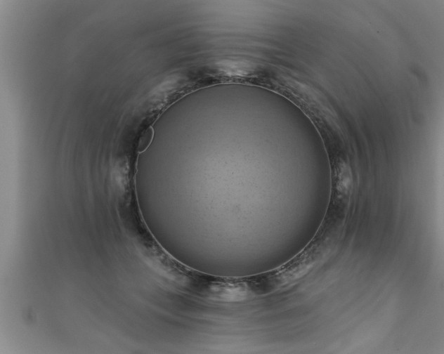 X0000111360559200907171206