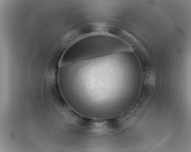 X0000111360560200907171206