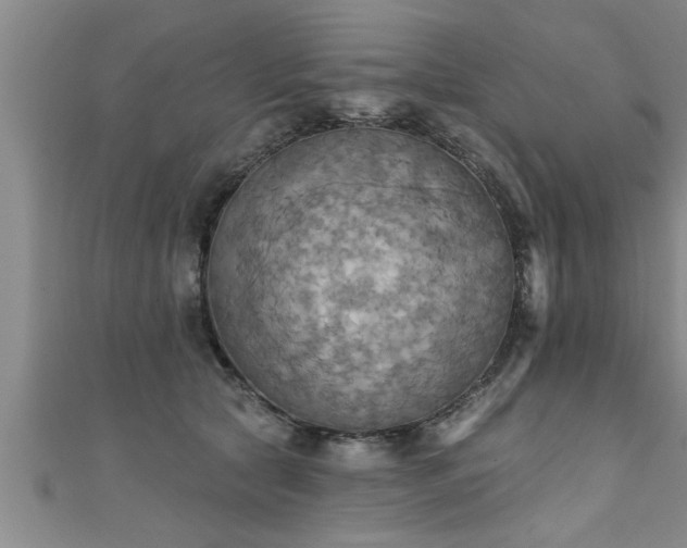 X0000111360561200907171206