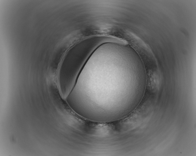 X0000111360562200907171206
