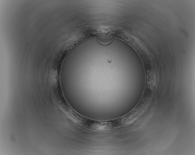 X0000111360563200907171206