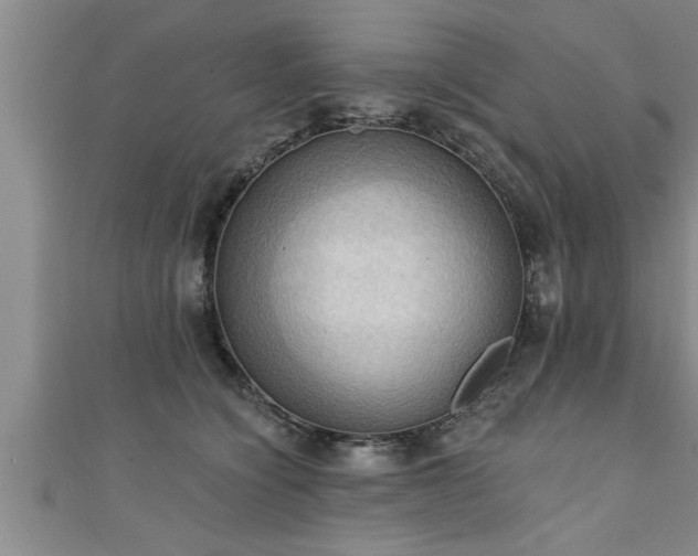 X0000111360564200907171206