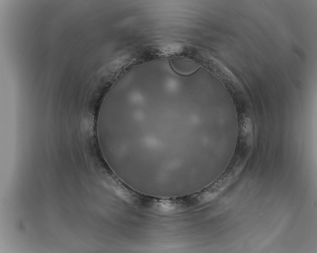X0000111360565200907171206