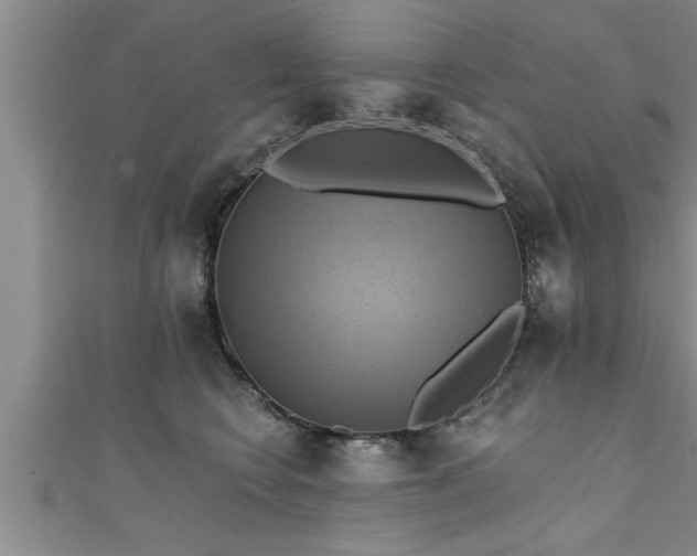 X0000111360566200907171206