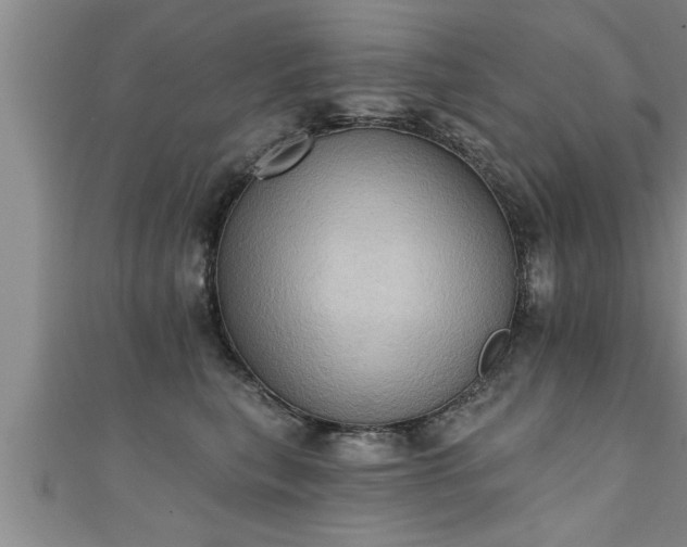 X0000111360567200907171206