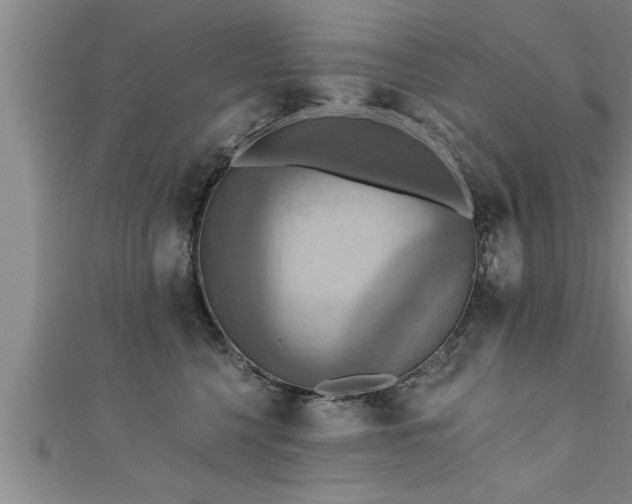 X0000111360568200907171206
