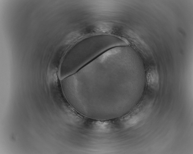 X0000111360570200907171206