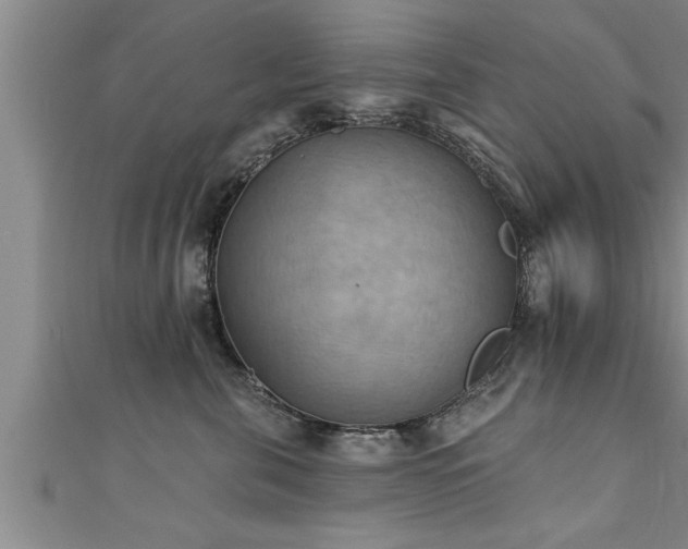 X0000111360571200907171206