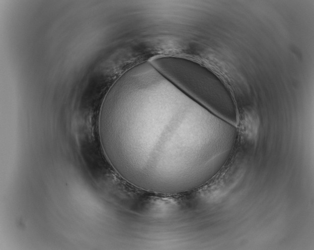 X0000111360572200907171206