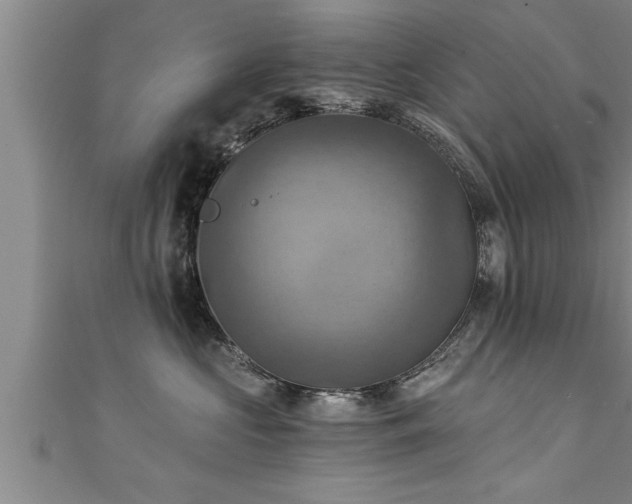 X0000111360573200907171206