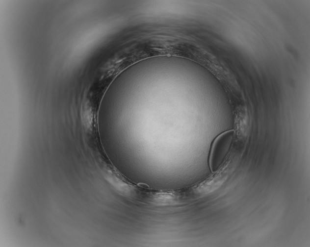 X0000111360574200907171206