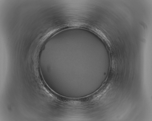 X0000111360577200907171206