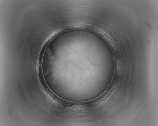 X0000111360578200907171206