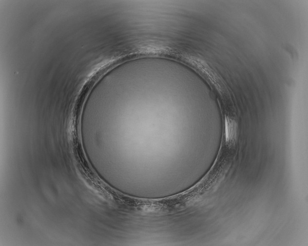 X0000111360579200907171206