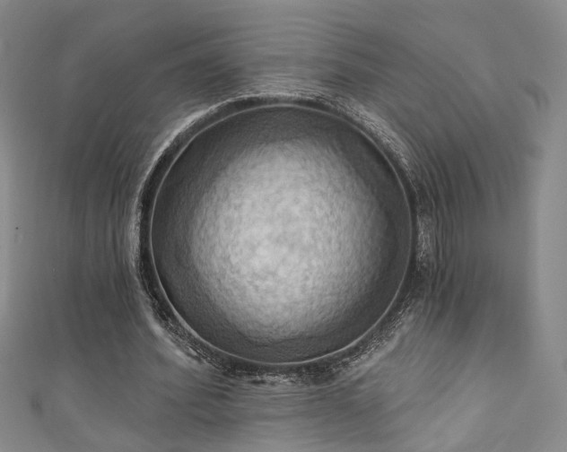 X0000111360580200907171206