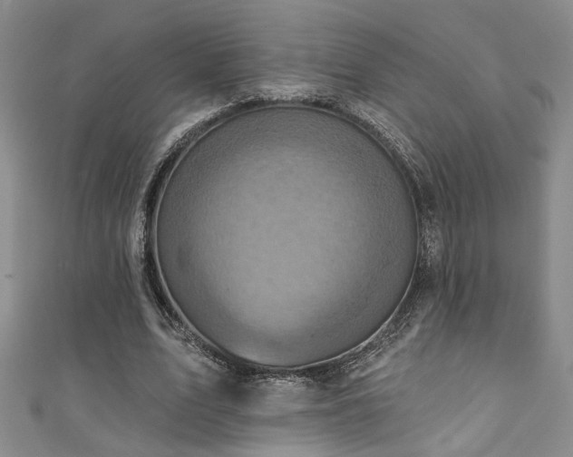 X0000111360583200907171205