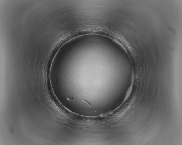 X0000111360585200907171205