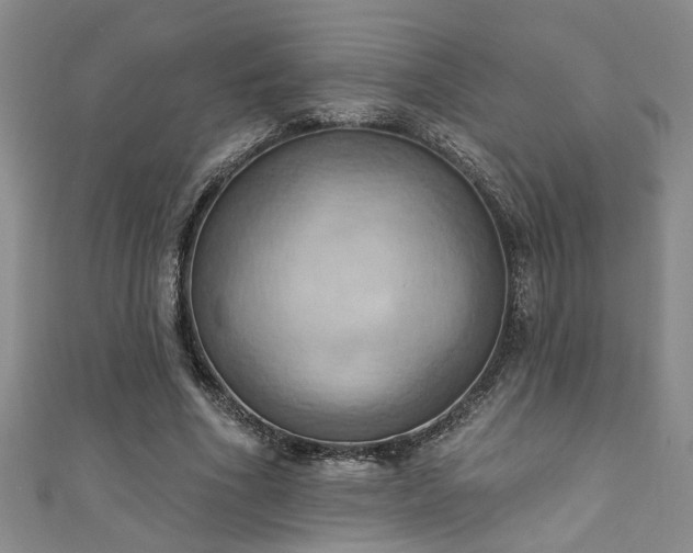 X0000111360586200907171205
