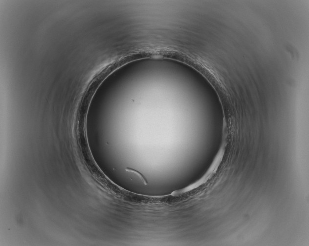 X0000111360587200907171205
