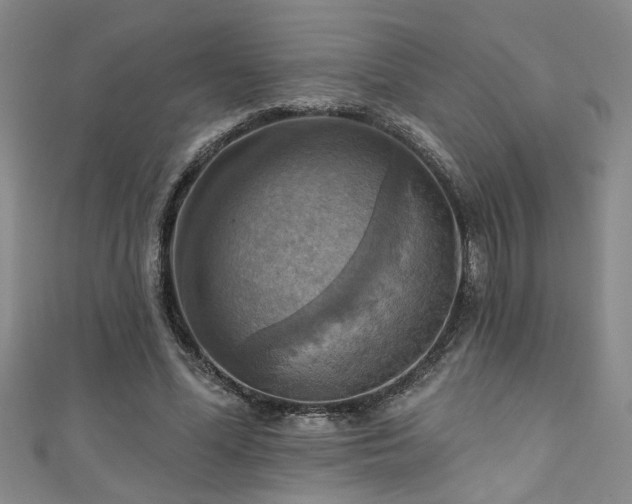 X0000111360588200907171205