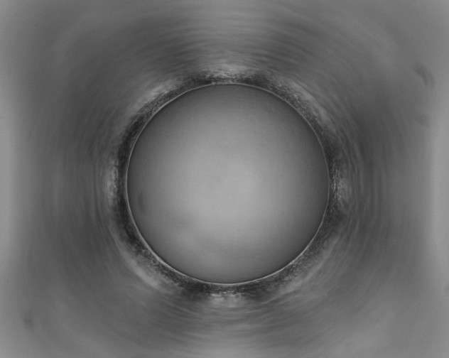 X0000111360591200907171205