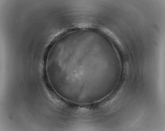 X0000111360592200907171205
