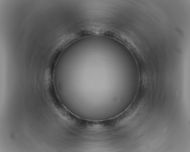 X0000111360594200907171205