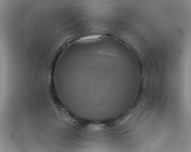 X0000111360595200907171205