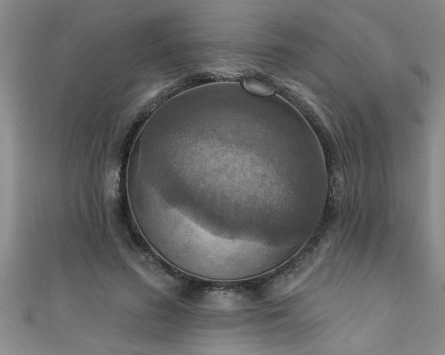 X0000111360596200907171205