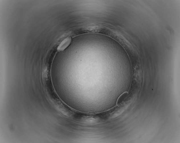 X0000111360597200907171205