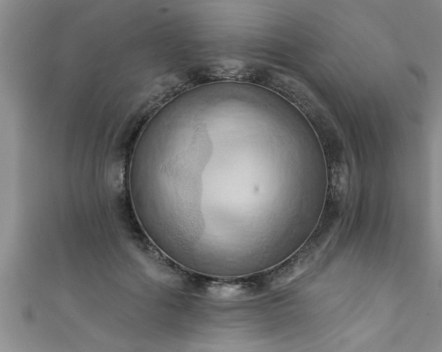 X0000111360602200907171205