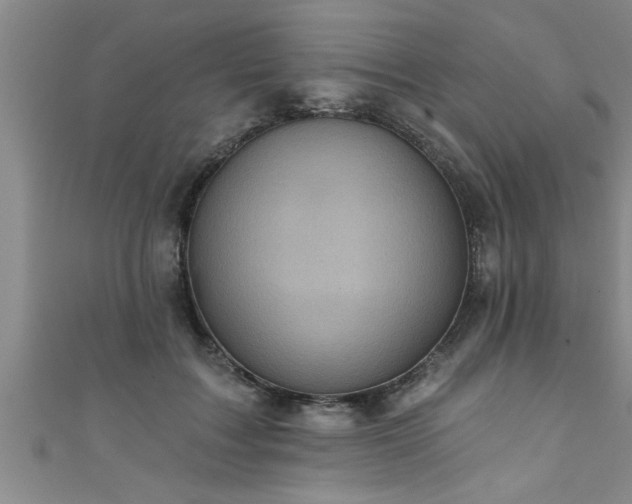 X0000111360603200907171205