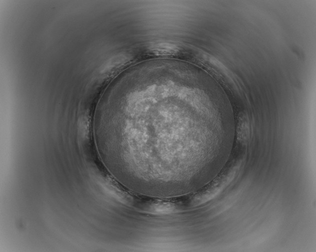 X0000111360604200907171205