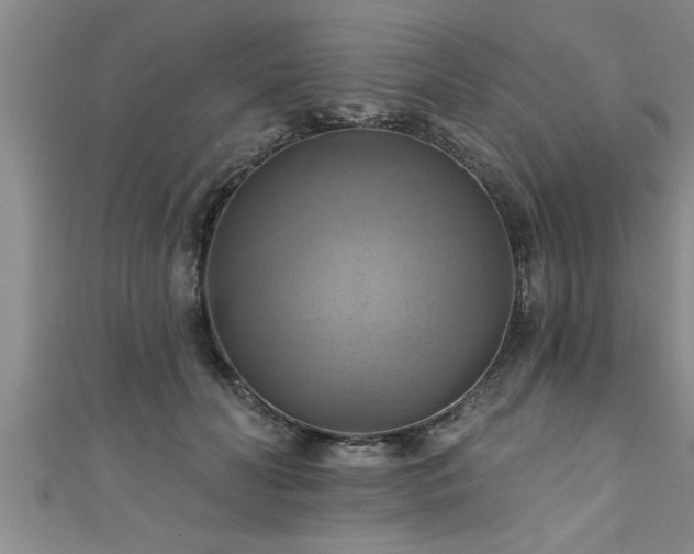 X0000111360606200907171205