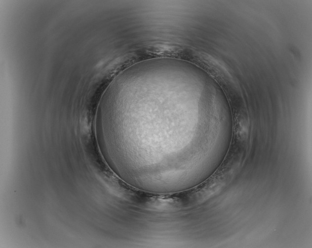 X0000111360607200907171205