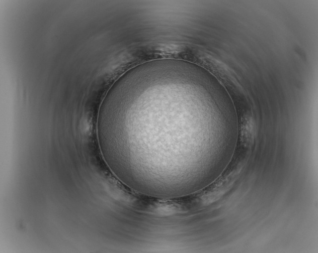 X0000111360608200907171205