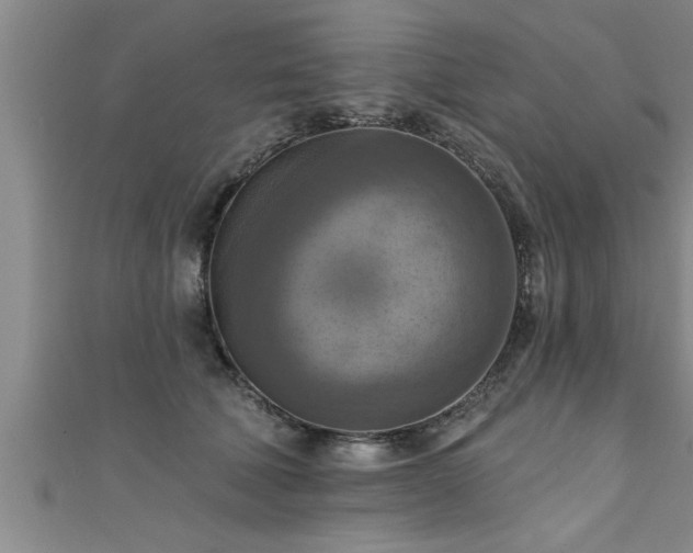 X0000111360610200907171205