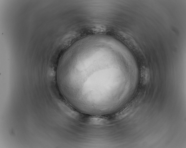 X0000111360614200907171205