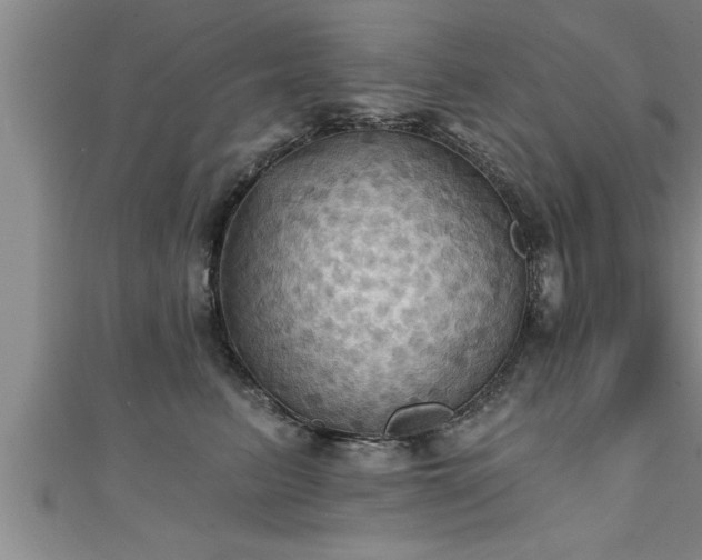 X0000111360615200907171205