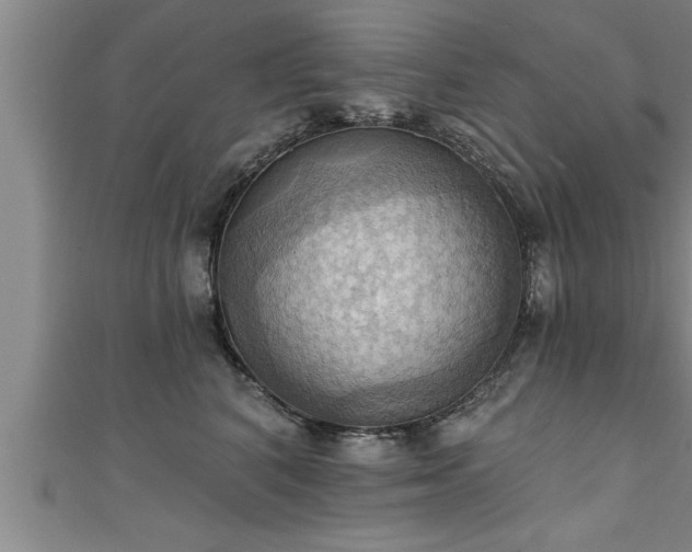 X0000111360616200907171205