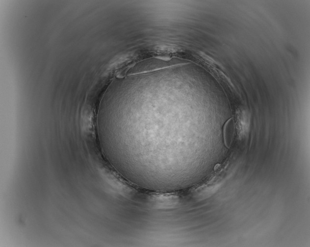 X0000111360619200907171205