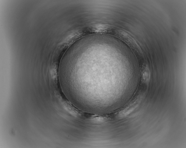 X0000111360620200907171205