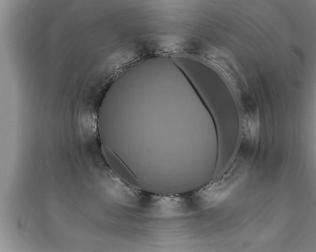 X0000111360621200907171205