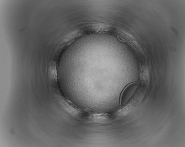 X0000111360622200907171205